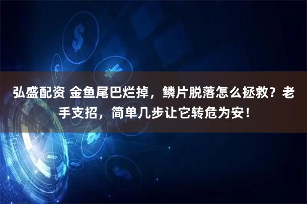 弘盛配资 金鱼尾巴烂掉，鳞片脱落怎么拯救？老手支招，简单几步让它转危为安！
