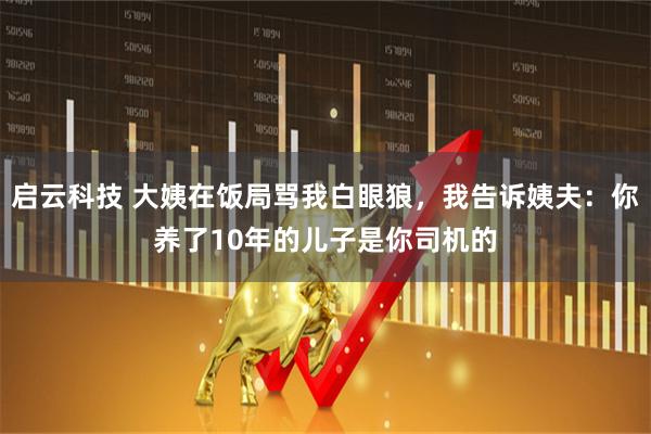 启云科技 大姨在饭局骂我白眼狼，我告诉姨夫：你养了10年的儿子是你司机的